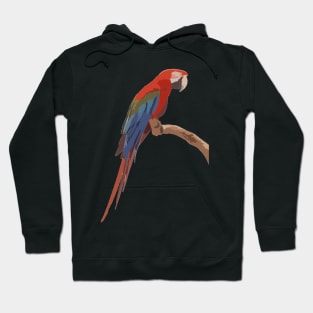 Red and Green Macaw Digital Painting Hoodie